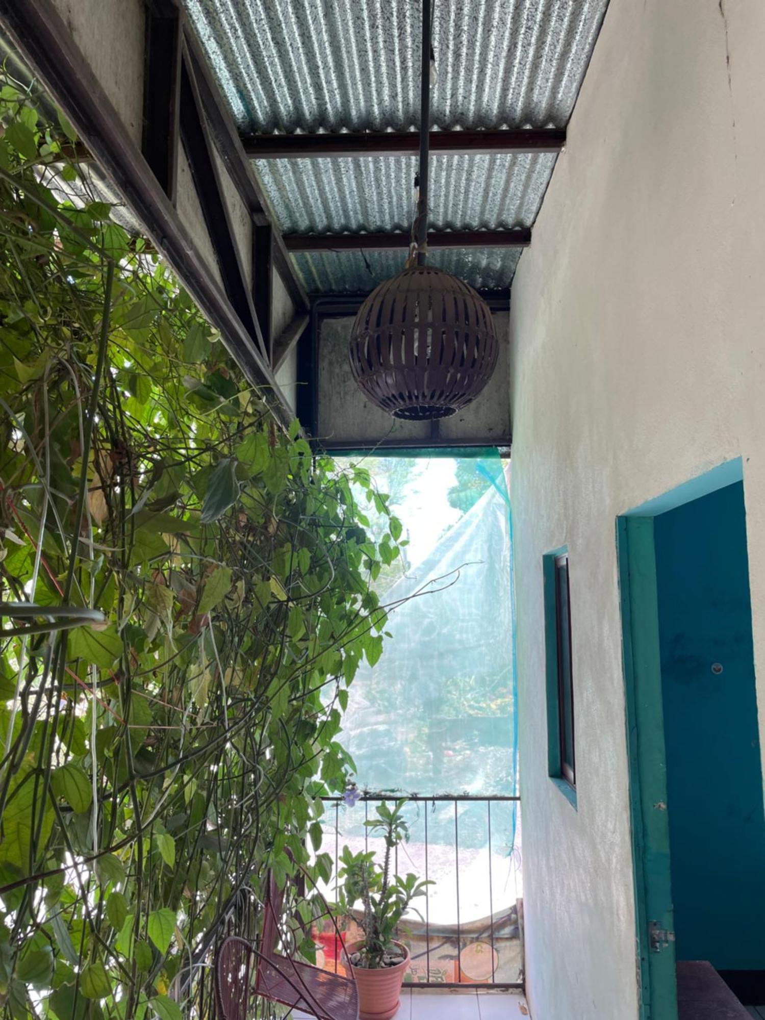 Hostal Isla Natal Moyogalpa Exterior foto