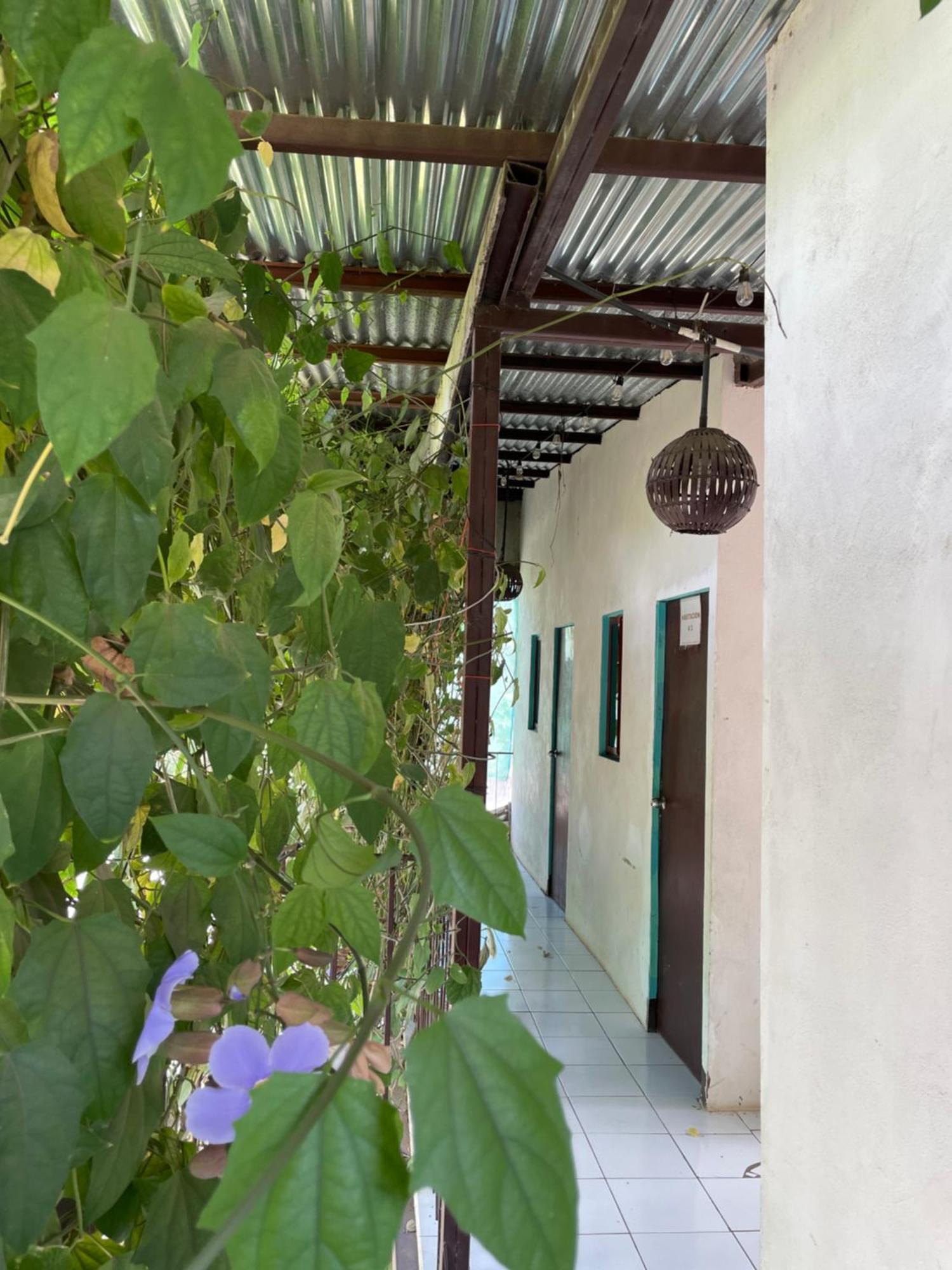 Hostal Isla Natal Moyogalpa Exterior foto